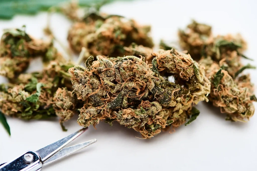 Cannabis delivery in princeton, NJ