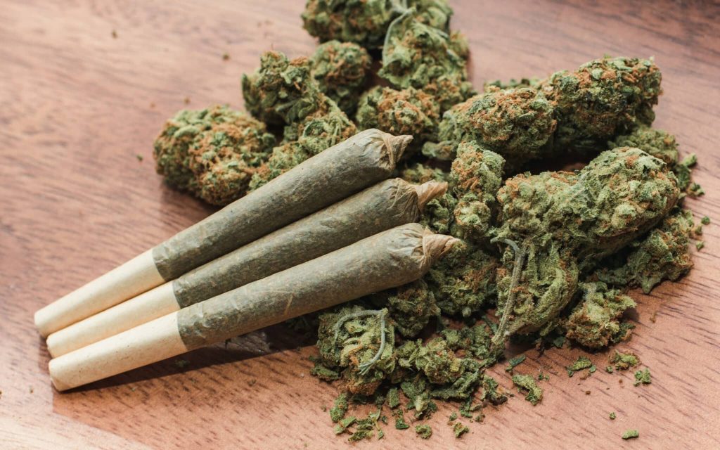 preroll,joints,on,plate,of,buds